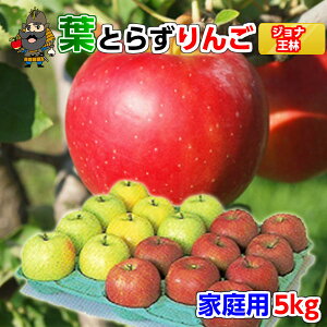  X  tƂ炸 WiS[hƉуZbg 5kgi20ʑOjႲƒpNEXYEYn | yY XY XY WiS[h   