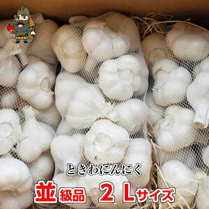新物 令和7年産 青森県 ときわにんにく 並級品 2Lサイズ(1kg 9〜12玉)訳あり品 福地ホワイト|国産にんにく 青森 お土産 青森産 にんにく 青森県産 国産 訳あり お取り寄せ ニンニク 取り寄せ