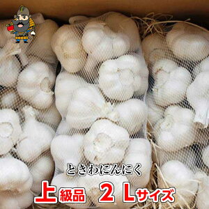 V ߘa7NY X Ƃɂɂ ㋉i 2LTCYi1kgE9`12ʁjnzCg | Yɂɂ 1kg X yY ɂɂ XY Y jjN zCg Z Mtg  Yj