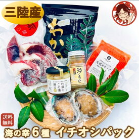 【イチオシパック】ギフト グルメ 1万円 送料無料 海鮮 高級 詰合わせ セット 海産物 食品 詰合せ 冷凍 贈り物 食べ物 プレゼント お取り寄せグルメ 国産 三陸 あわび うに たこ スモークサーモン 牡蠣 オイル漬け 父の日
