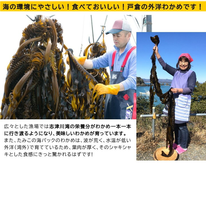 楽天市場 わかめ カット済み 塩蔵 国産 三陸産 宮城県 楽ちんわかめ 80g 肉厚わかめ 無添加 レシピ付き ギフト 寒中お見舞い お礼 内祝 熨斗対応 ラッピング 海藻ふりかけ 長期保存食 デトックス たみこの海パック
