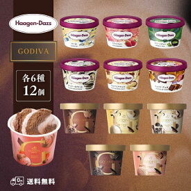 ハーゲンダッツ 6種 ゴディバ 6種 計12種セット 冷凍 アイス ギフト プレゼント アイスクリーム まとめ買い セット ミニカップ バラエティ お試し 食べ比べ Haagen-Dazs GODIVA