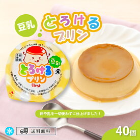日東ベスト とろけるプリン 豆乳 冷凍 40g × 40個 (1ケース) 学校給食用 プリン おやつ デザート 幼稚園 イベント用 パーティー用 行事用 個包装 ヘルシー デザート 豆乳スイーツ 簡単便利