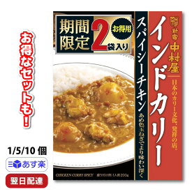 【ポイント10倍6/4 20時～】 新宿中村屋 レトルトカレー インドカリー スパイシーチキン 400g 老舗 オリジナル スパイス ギフト 簡単調理 湯煎 電子レンジ 時短 調理 スパイシーカレー 化学調味料不使用 パ