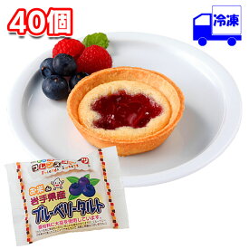 日東ベスト お米deブルーベリータルト 冷凍 25g×40個 1ケース スイーツ お菓子 おやつ デザート タルト生地 子供 ギフト 贈り物 プレゼント 誕生日 クリスマス バレンタイン ブ
