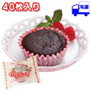 日東ベスト お米deガトーショコラ 冷凍 25g×40個 1ケース 米粉 スイーツ お菓子 おやつ ガトーショコラ カカオ 母の…
