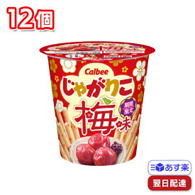 カルビー じゃがりこ 梅味 12個 1ケース まとめ買い calbee セット 箱 買い お菓子 詰め合わせ おかし 大人 子供 子供会 幼児 まとめ ビッグサイズ 備蓄 防災 防災食 差し入れ 大量 業務用 箱買い バラエティ 常温 大容量 ポッキリ 大袋 個別包装 個包装 プチギフト プチ