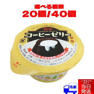 xXg R[q[[[ 60g Iׂ 20 40 Zbg ܂Ƃߔ Ⓚ fU[g XC[c wZH  H q