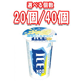 森永製菓 アイスボックス グレープフルーツ 選べる個数 20個 40個 まとめ買い ギフト 氷菓 アイス 氷 水分補給