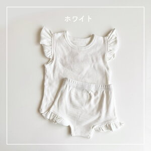 y[ztun ZbgAbv t pW} [EGA xr[ xr[ q Ԃ Rbg   ʋC Vv  jZbNX ̎q gbvX p