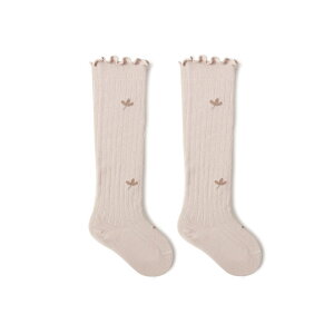 y[z݃J[ t[j[nC\bNX xr[ xr[\bNX nC\bNX C \bNX t  j̎q ̎q Vv i` LbY  xr[C j[n