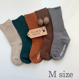 y[zVv J[\bNX xr[ xr[\bNX nC\bNX C \bNX  j̎q ̎q Vv i` LbY  xr[C j[nC\bNX nC\