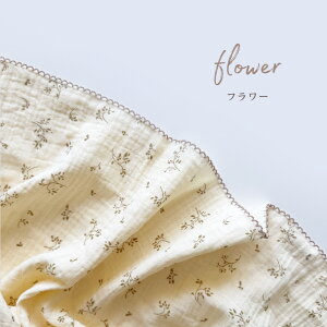 y[zӂy K[[  uPbg VO 2dK[[ 100%  [ ԕ Rbg Vv ėp 炩 I[V[Y ^IPbg  K[[ 