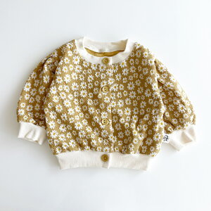 y[zԕ J[fBK t[   WK[hn ݃J[ ؍  pt xr[ LbY qǂ tH[} Vc gbvX LbY xr[ Vv jbggbvX