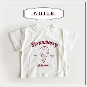 y[zACXN[S LbYTVc vgTVc LbY gbvX ۈ牀 ct xr[TVc LbYTVc xr[ xr[   킢 ؍xr[ LbY TV