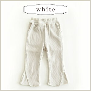 y[ztApc R[fCn LbY xr[ pc Y{ R[fC ̎q JWA {gX wre jZbNX  Opc bNX gh H~