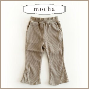 y[ztApc R[fCn LbY xr[ pc Y{ R[fC ̎q JWA {gX wre jZbNX  Opc bNX gh H~