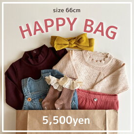 【即納】HAPPY BAG 66cm B118 福袋 ハッピーバッグ 出産祝いセット セット売り まとめ売り 中身が見える ベビー ベビー服 赤ちゃん 赤ちゃん服 セール キッズ福袋 ベビー福袋 お得 ロンパース セットアップ カバーオール 秋服 冬服 男の子 女の子 可愛い 送料無料