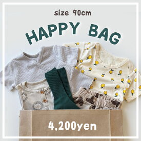 【即納】HAPPY BAG 90cm A028 福袋 ハッピーバッグ 出産祝いセット セット売り まとめ売り 中身が見える ベビー ベビー服 赤ちゃん 赤ちゃん服 セール キッズ福袋 ベビー福袋 お得 ロンパース セットアップ カバーオール 夏服 春服 男の子 女の子 可愛い 送料無料