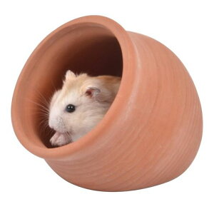 HIGHAWKnX^[nEXQւėpBƓA΍pxbhP[W(S)