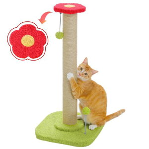 PAWZRoadL܌܌|[c^킢ϗtAԃe[}W[gJXoȂ䍂L̂т̂ё^LR[i[uLbg^[CeAL̂Lc