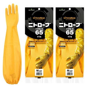 [V[O[u]܂ƂߔE܂ň̌^ONo.774jg[uTYPE-R65CG[MTCY2oZbgjgS