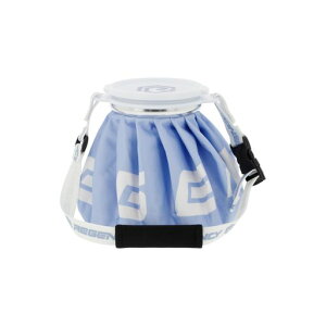 Regency[WFV[XXACVOX|[cplppėp\ȕXACXobOX̂(O[)(XJCu[)