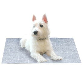 アイメディア(Aimedia)ひんやりマットペットマット45x60cm大理石調ペット用日本製接触冷感冷感シートひんやりシート熱中症対策熱さ対策消臭防水フリーカット犬猫