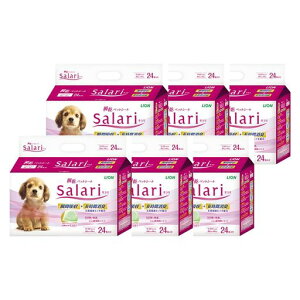 T(Salari)uybgV[gCh24x6(P[X̔)