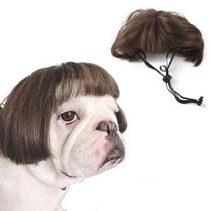 ybgEBbO蕨LybgpXqnEBʔڂɗ΂郏RXv璅EȒPϐgBe