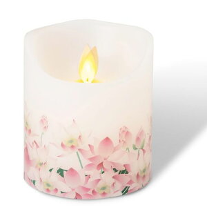 dLEDE\Nh炮yՃvzLhdrLED낤(@)