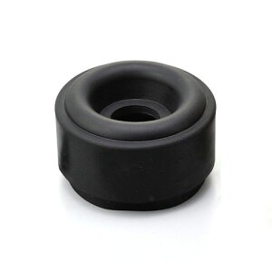 fCgi(Daytona)oCNphS(HL4SVp)H.I.D.Cp[c62189