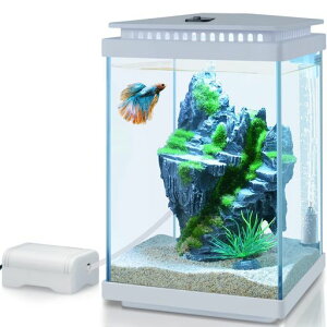 FEDOUR5L小型ガラス水槽、静かな透明アクアリウム、LEDライト/ぶくぶく水キレイセット付き、メダカ・金魚・産卵・稚魚育成卓上水槽