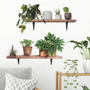 HOTIYOKinsEH[XebJ[kAǃXebJ[ΕǕǂɓ\ǏdiyǎǃV[j̎q̎qQqEH[y[p[A[gۈ牀͂wallsticker