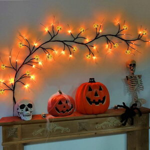 yLEISURECLUBznEBCgڂledXgOCg̑`C~l[VCgJ{`drdCeAO451.5m(J{`(1.5m))