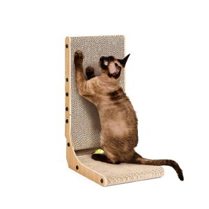 EHEYCIGAL܌L܂ƂxbhLMLObYL̒܂Ƃi{[(L^29x24.5x48cm)