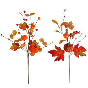 koundenekonEBԃpvLsbN2{ZbgJ{`JGf̗tx[gݍ킹lH}u[PHGߏ芴ӍՃz[e[uZ^[CeABe