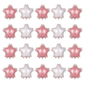 ADOFUNo[ʃA~o[̕D傫ȉԕDttaՂ葕wƎaVLOLOBep[eB[fR[Vjlq̎qc