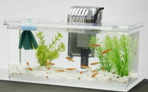 Tetraeg_J̔ɐByރZbgLANAEMы_J