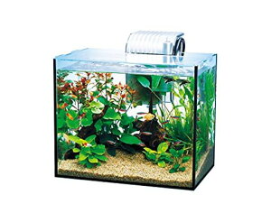 テトラ(Tetra)ガラス水槽オールグラスアクアリウムGA-300F水槽アクアリウム熱帯魚メダカ金魚