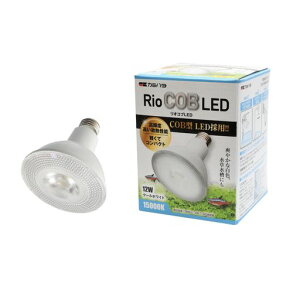 J~n^RioCOB(IRu)LED12WN[zCg(W&p)