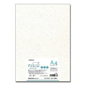 剮XRs[pA4P@LETTEThJ[Ȃ20390633