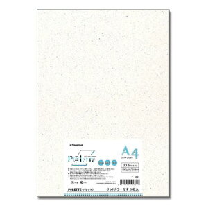 剮XRs[pA4P@LETTEThJ[Ȃ20390633