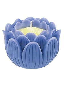 ̃}GX(Maruesu)낤@̉ԏp[v10