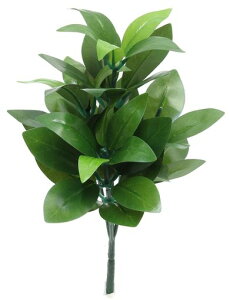 AȎ{dlݞ炵ёԖ28.5cm1{SOKASGIwقł̗pG}R