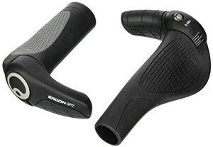 GSGP2O/V[gObvS(HBG22100)