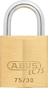 {bNT[rX(NihonLockService)ABUS^J싞EC75/30KDfBvV_[o