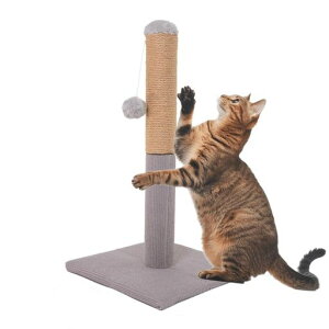 HAMIPETL܂Ƃ|[܌|[XNb`|[LcgM߂Ƃ50cm{[tuXgXLbg^[lR^[ȃXy[X܂Ƃ^[ȃXy[Xc