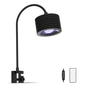 LominieANAECgƖLEDCTSLEDCg\^pCXpCgNbv