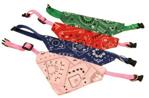 m[uhJbR킢ɃXJ[tt֌LΉփn[lXXJ[to_iybgybgpipLpt@bV킢L[gL/^^c